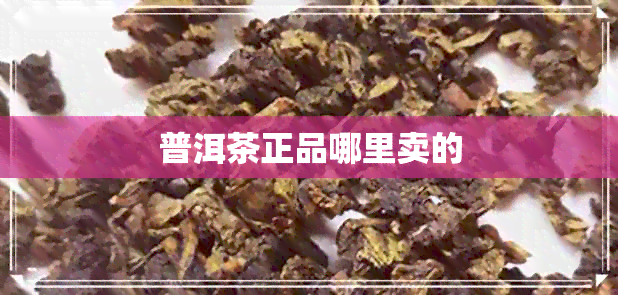 普洱茶正品哪里卖的