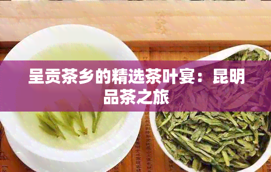 呈贡茶乡的精选茶叶宴：昆明品茶之旅