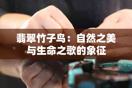 翡翠竹子鸟：自然之美与生命之歌的象征