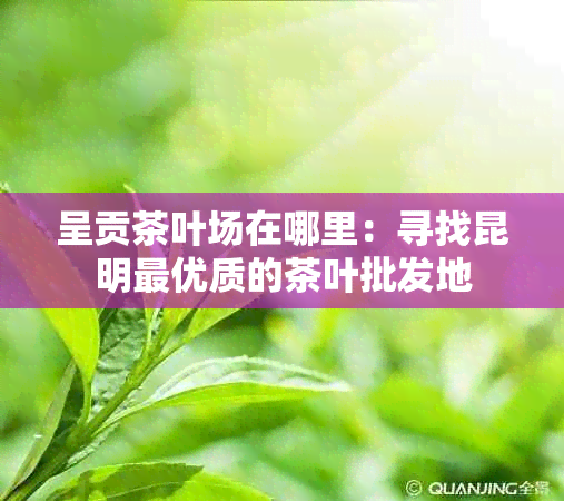 呈贡茶叶场在哪里：寻找昆明更优质的茶叶批发地