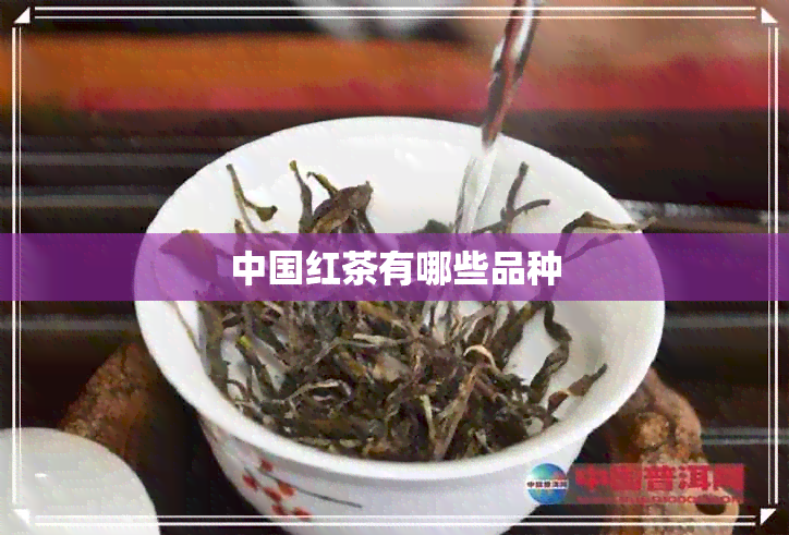 中国红茶有哪些品种