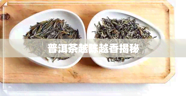 普洱茶越陈越香揭秘