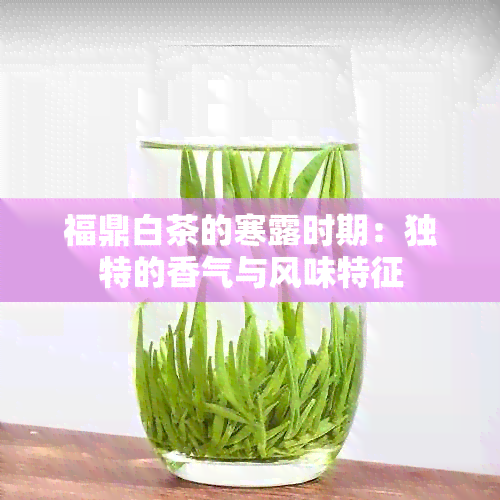 福鼎白茶的寒露时期：独特的香气与风味特征