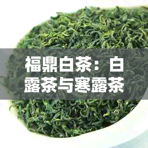 福鼎白茶：白露茶与寒露茶的比较解析，让你一文了解两者特点及区别