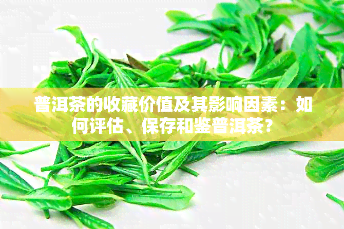 普洱茶的收藏价值及其影响因素：如何评估、保存和鉴普洱茶？