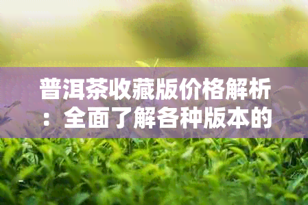 普洱茶收藏版价格解析：全面了解各种版本的市场行情与投资价值