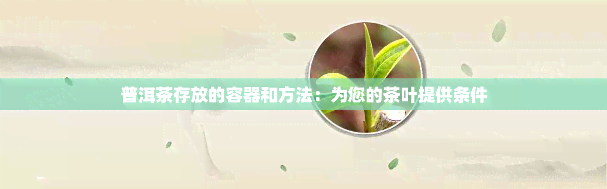 普洱茶存放的容器和方法：为您的茶叶提供条件