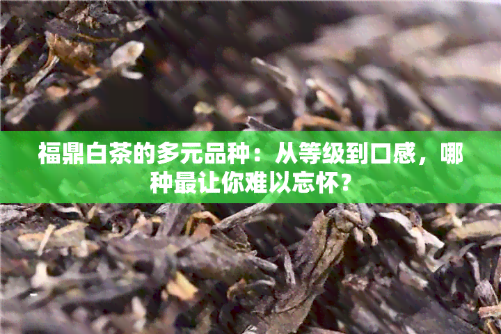 福鼎白茶的多元品种：从等级到口感，哪种最让你难以忘怀？