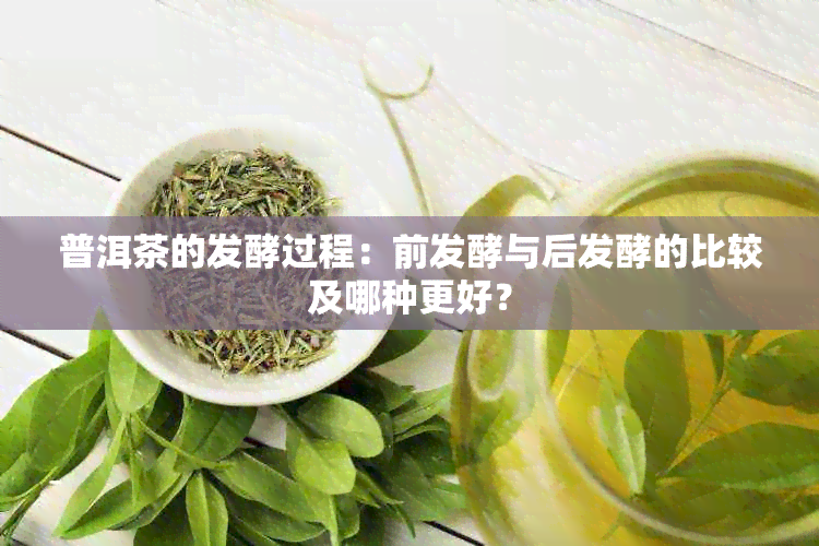 普洱茶的发酵过程：前发酵与后发酵的比较及哪种更好？