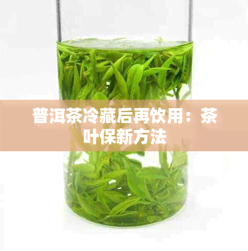 普洱茶冷藏后再饮用：茶叶保新方法