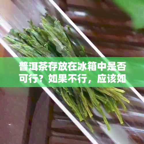 普洱茶存放在冰箱中是否可行？如果不行，应该如何正确保存普洱茶？