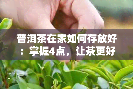 普洱茶在家如何存放好：掌握4点，让茶更好喝！