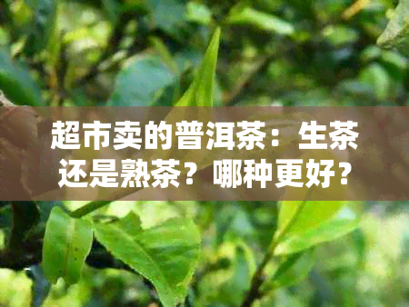 超市卖的普洱茶：生茶还是熟茶？哪种更好？