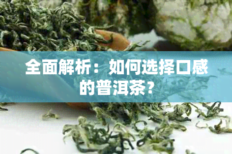 全面解析：如何选择口感的普洱茶？