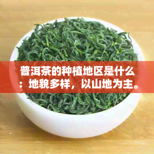 普洱茶的种植地区是什么：地貌多样，以山地为主。