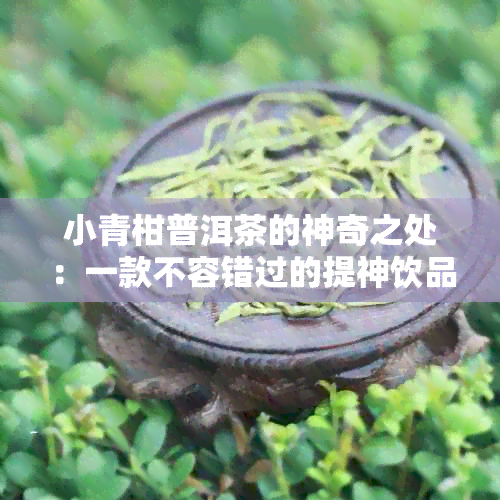 小青柑普洱茶的神奇之处：一款不容错过的提神饮品