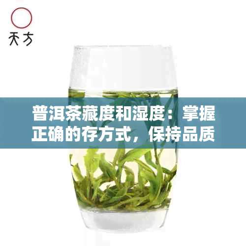 普洱茶藏度和湿度：掌握正确的存方式，保持品质稳定。