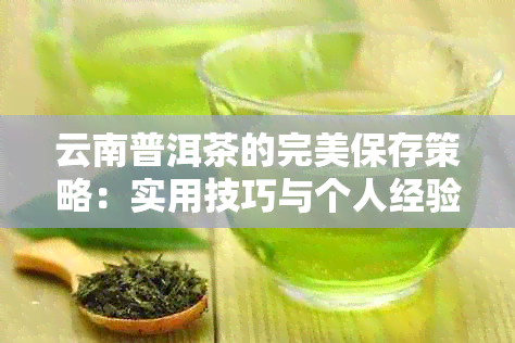 云南普洱茶的完美保存策略：实用技巧与个人经验