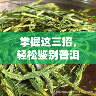 掌握这三招，轻松鉴别普洱茶中的真伪之水