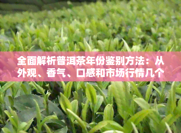 全面解析普洱茶年份鉴别方法：从外观、香气、口感和市场行情几个方面入手