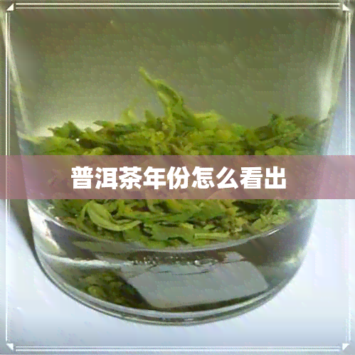 普洱茶年份怎么看出