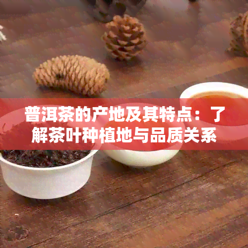 普洱茶的产地及其特点：了解茶叶种植地与品质关系的全方位指南