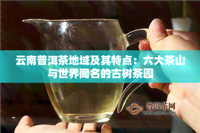 云南普洱茶地域及其特点：六大茶山与世界闻名的古树茶园