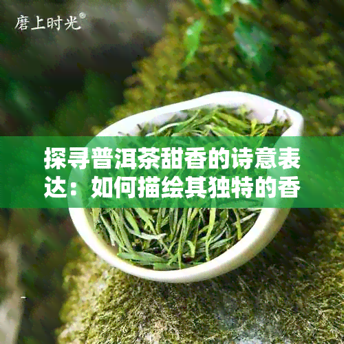 探寻普洱茶甜香的诗意表达：如何描绘其独特的香气？