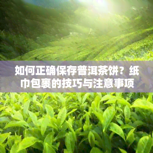 如何正确保存普洱茶饼？纸巾包裹的技巧与注意事项