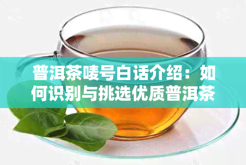 普洱茶唛号白话介绍：如何识别与挑选优质普洱茶