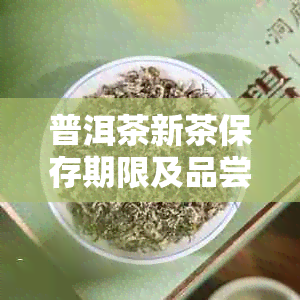 普洱茶新茶保存期限及品尝时期解析：如何确保茶叶新度和品质？