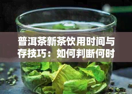 普洱茶新茶饮用时间与存技巧：如何判断何时才能品尝这批醇厚的生茶？