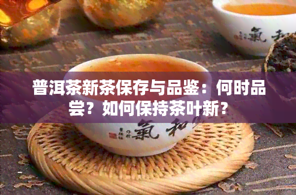 普洱茶新茶保存与品鉴：何时品尝？如何保持茶叶新？