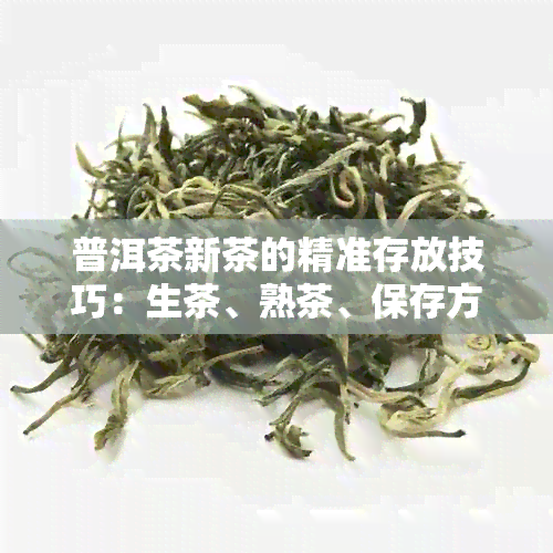 普洱茶新茶的精准存放技巧：生茶、熟茶、保存方法一应俱全