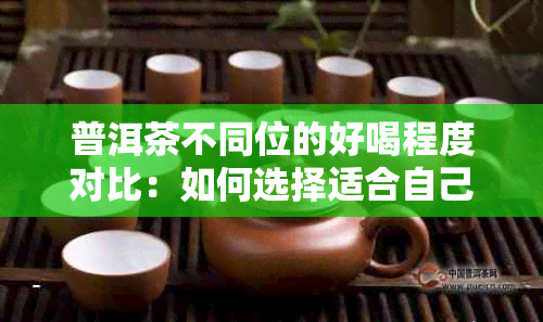 普洱茶不同位的好喝程度对比：如何选择适合自己的普洱茶？