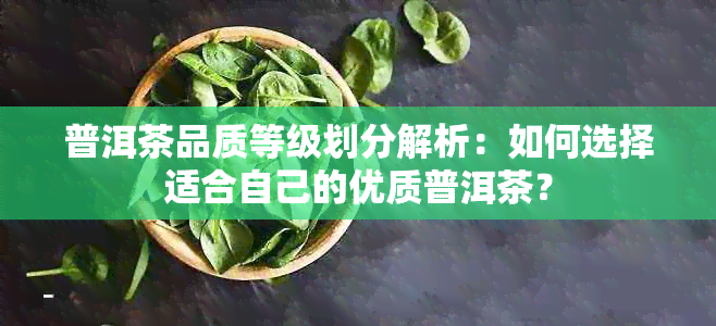 普洱茶品质等级划分解析：如何选择适合自己的优质普洱茶？