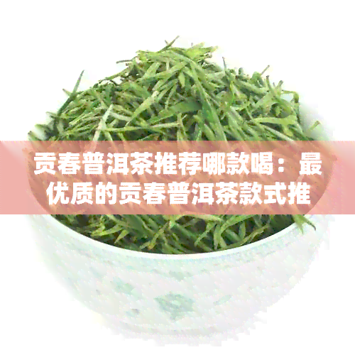 贡春普洱茶推荐哪款喝：更优质的贡春普洱茶款式推荐