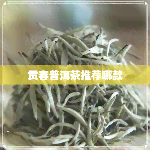 贡春普洱茶推荐哪款