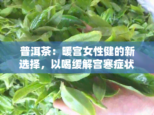 普洱茶：暖宫女性健的新选择，以喝缓解宫寒症状