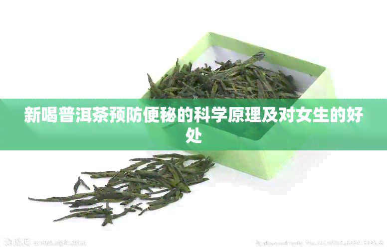 新喝普洱茶预防便秘的科学原理及对女生的好处