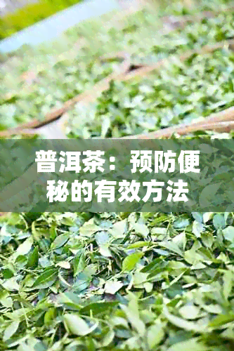 普洱茶：预防便秘的有效方法及其它好处解析