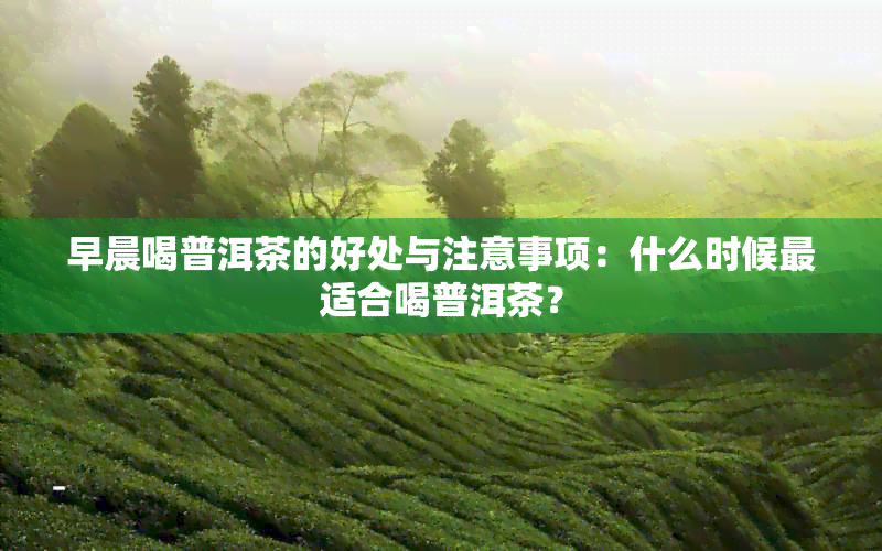 早晨喝普洱茶的好处与注意事项：什么时候最适合喝普洱茶？