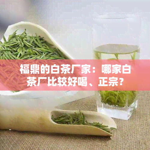 福鼎的白茶厂家：哪家白茶厂比较好喝、正宗？