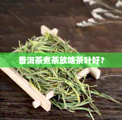 普洱茶煮茶放啥茶叶好？