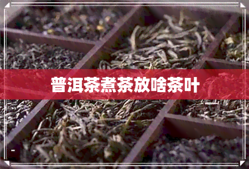 普洱茶煮茶放啥茶叶