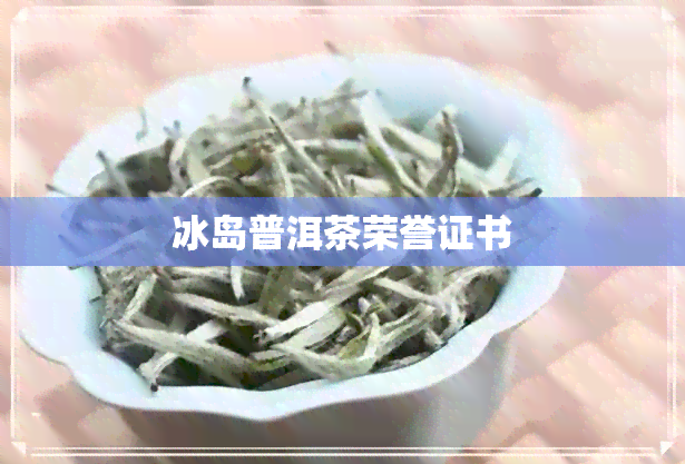 冰岛普洱茶荣誉证书