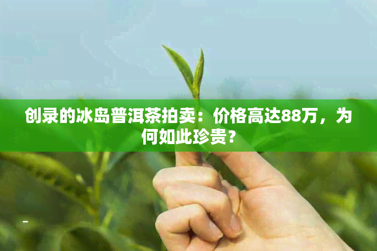 创录的冰岛普洱茶拍卖：价格高达88万，为何如此珍贵？