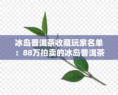 冰岛普洱茶收藏玩家名单：88万拍卖的冰岛普洱茶适合收藏吗？