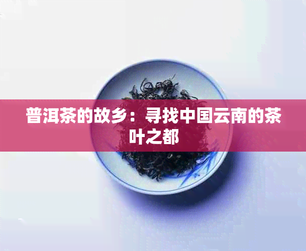 普洱茶的故乡：寻找中国云南的茶叶之都