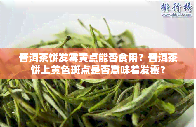 普洱茶饼发霉黄点能否食用？普洱茶饼上黄色斑点是否意味着发霉？